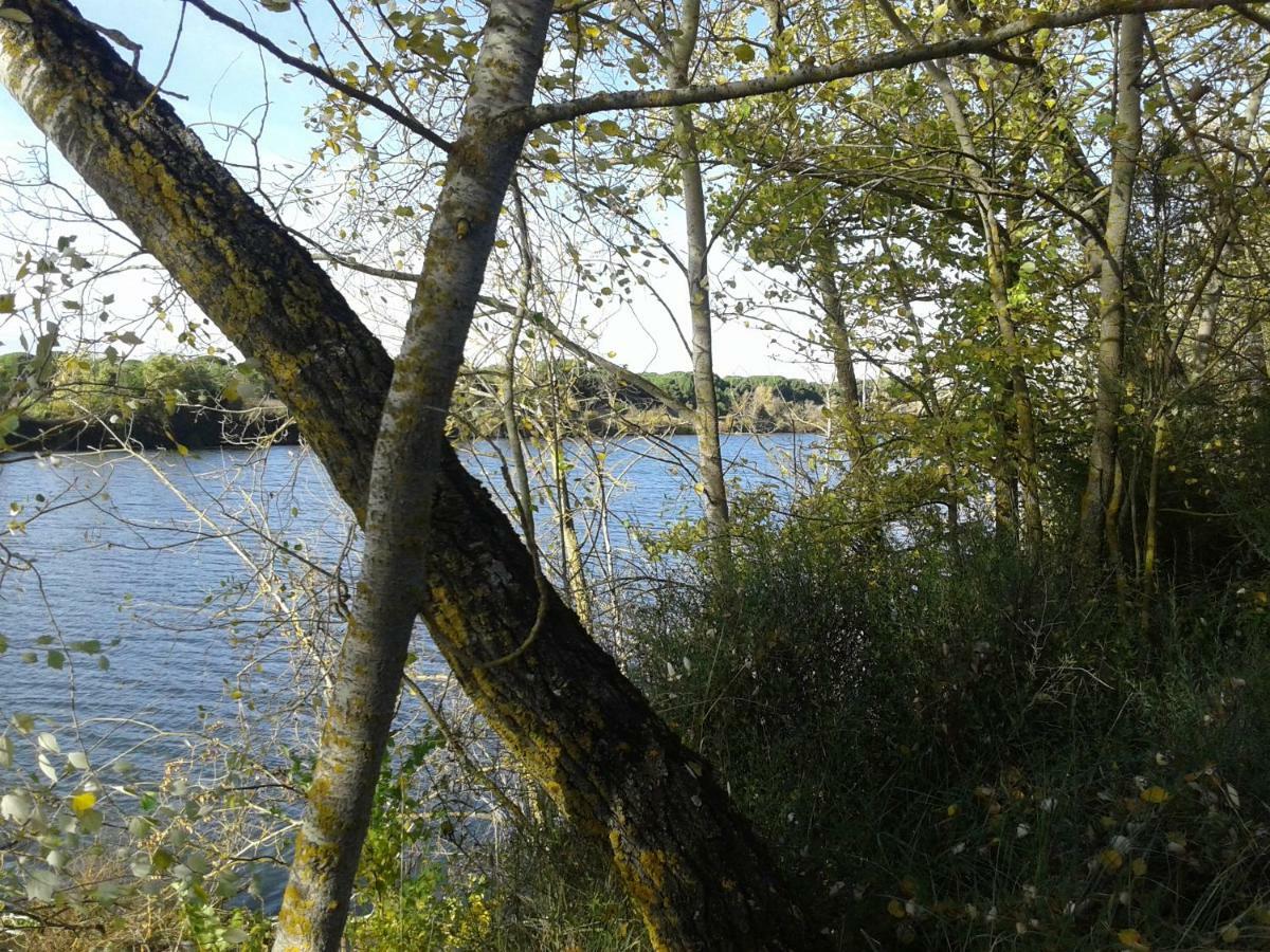 Pinar De Las Cabanuelas Villanueva de Duero Zewnętrze zdjęcie