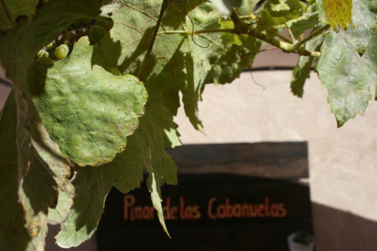 Pinar De Las Cabanuelas Villanueva de Duero Zewnętrze zdjęcie